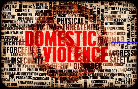 Domestic violence call in Brooklyn results in injuries to police ...